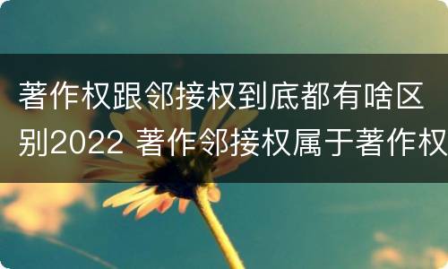 著作权跟邻接权到底都有啥区别2022 著作邻接权属于著作权吗