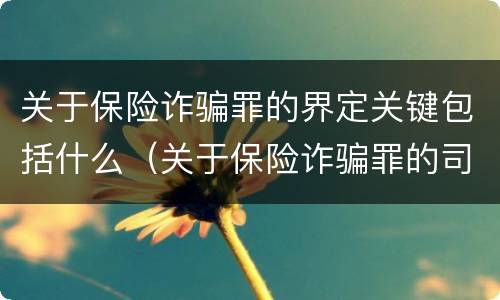 关于保险诈骗罪的界定关键包括什么（关于保险诈骗罪的司法解释）