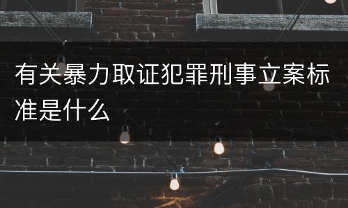 有关暴力取证犯罪刑事立案标准是什么