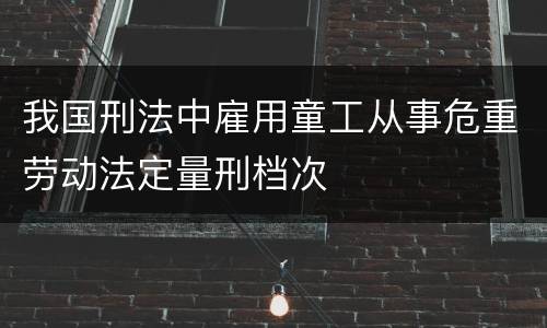我国刑法中雇用童工从事危重劳动法定量刑档次