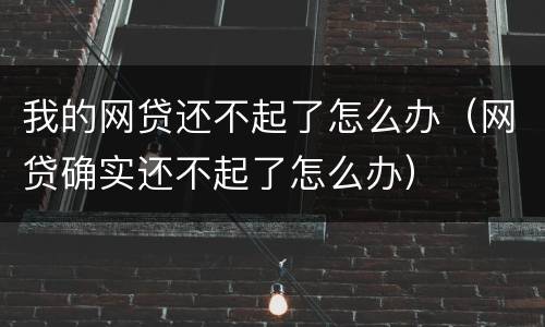 我的网贷还不起了怎么办（网贷确实还不起了怎么办）