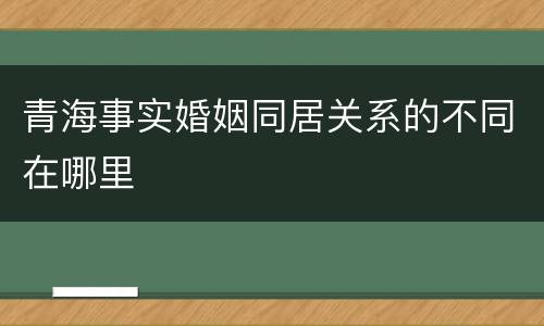 青海事实婚姻同居关系的不同在哪里