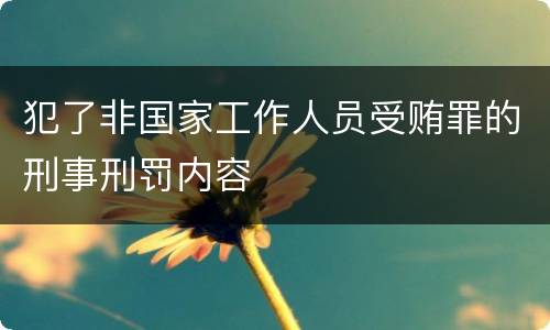 犯了非国家工作人员受贿罪的刑事刑罚内容