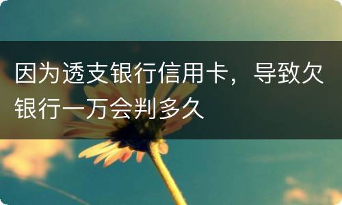 因为透支银行信用卡，导致欠银行一万会判多久