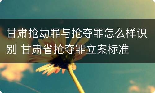 甘肃抢劫罪与抢夺罪怎么样识别 甘肃省抢夺罪立案标准