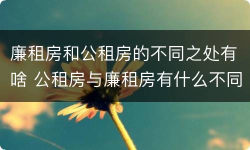 廉租房和公租房的不同之处有啥 公租房与廉租房有什么不同