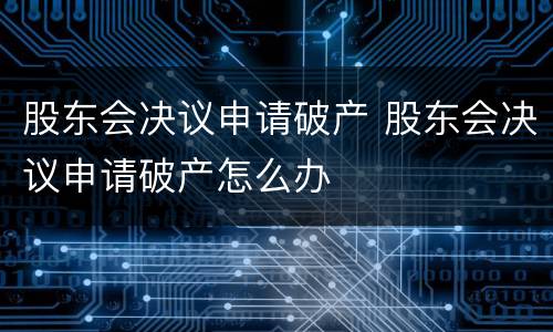 股东会决议申请破产 股东会决议申请破产怎么办
