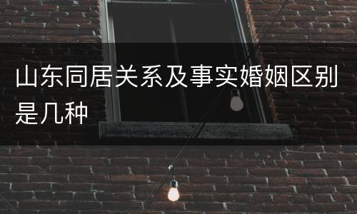 山东同居关系及事实婚姻区别是几种