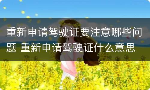 重新申请驾驶证要注意哪些问题 重新申请驾驶证什么意思