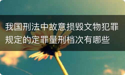 我国刑法中故意损毁文物犯罪规定的定罪量刑档次有哪些
