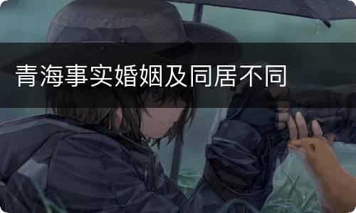 青海事实婚姻及同居不同
