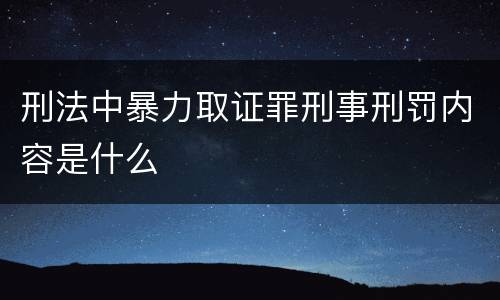 刑法中暴力取证罪刑事刑罚内容是什么