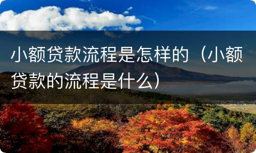小额贷款流程是怎样的（小额贷款的流程是什么）