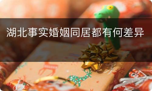 湖北事实婚姻同居都有何差异