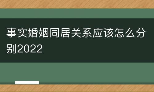 事实婚姻同居关系应该怎么分别2022