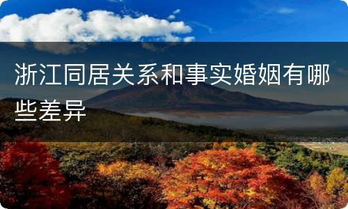 浙江同居关系和事实婚姻有哪些差异