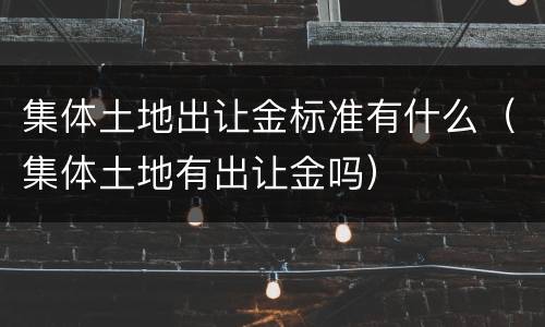 集体土地出让金标准有什么（集体土地有出让金吗）
