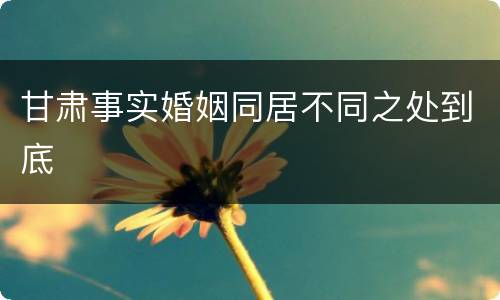 甘肃事实婚姻同居不同之处到底
