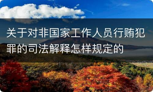 关于对非国家工作人员行贿犯罪的司法解释怎样规定的