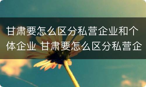 甘肃要怎么区分私营企业和个体企业 甘肃要怎么区分私营企业和个体企业呢