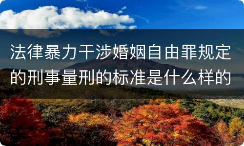 法律暴力干涉婚姻自由罪规定的刑事量刑的标准是什么样的