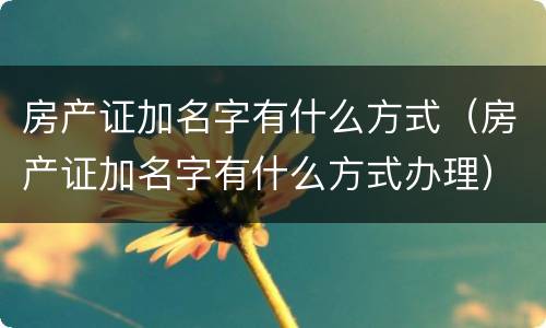 房产证加名字有什么方式（房产证加名字有什么方式办理）
