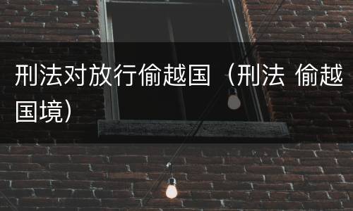 刑法对放行偷越国（刑法 偷越国境）