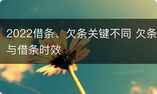 2022借条、欠条关键不同 欠条与借条时效