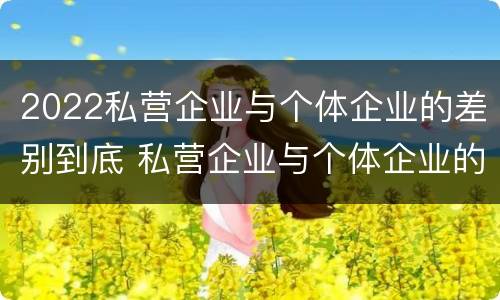 2022私营企业与个体企业的差别到底 私营企业与个体企业的区别