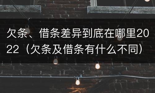 欠条、借条差异到底在哪里2022（欠条及借条有什么不同）