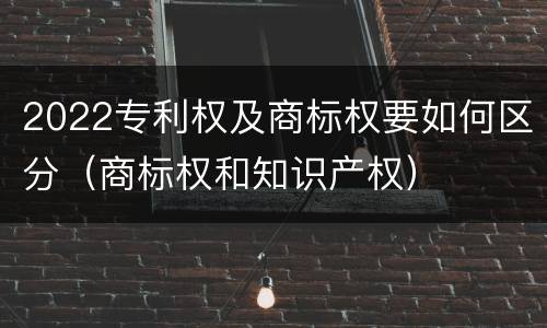 2022专利权及商标权要如何区分（商标权和知识产权）