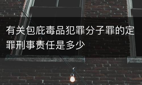 有关包庇毒品犯罪分子罪的定罪刑事责任是多少