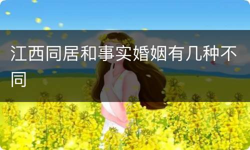 江西同居和事实婚姻有几种不同