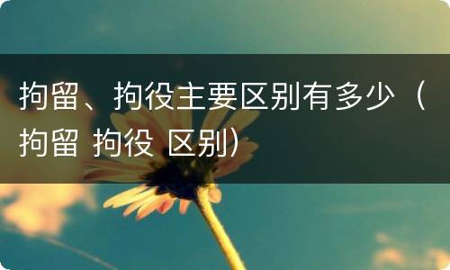 拘留、拘役主要区别有多少（拘留 拘役 区别）
