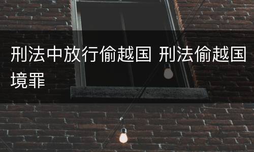 刑法中放行偷越国 刑法偷越国境罪