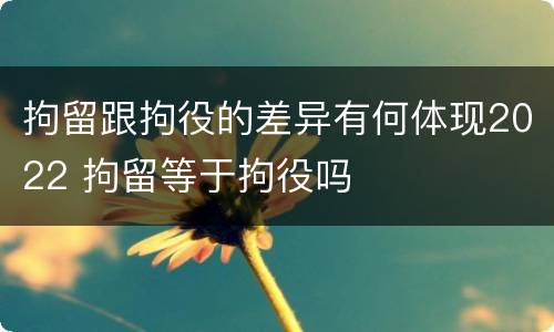 拘留跟拘役的差异有何体现2022 拘留等于拘役吗