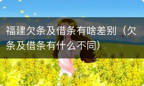 福建欠条及借条有啥差别（欠条及借条有什么不同）