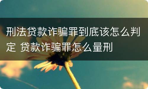 刑法贷款诈骗罪到底该怎么判定 贷款诈骗罪怎么量刑