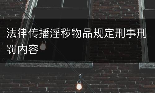 法律传播淫秽物品规定刑事刑罚内容