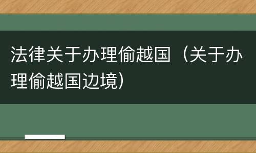 法律关于办理偷越国（关于办理偷越国边境）