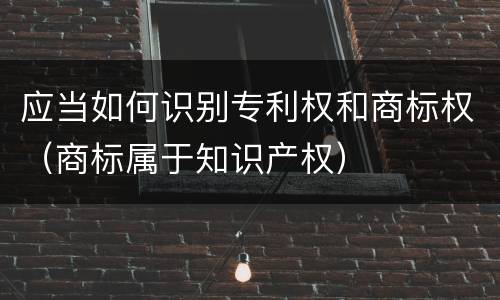 应当如何识别专利权和商标权（商标属于知识产权）