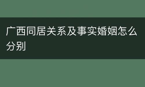 广西同居关系及事实婚姻怎么分别