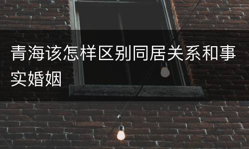 青海该怎样区别同居关系和事实婚姻