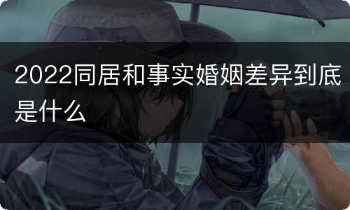 2022同居和事实婚姻差异到底是什么