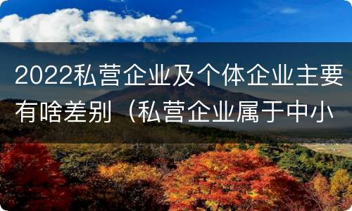 2022私营企业及个体企业主要有啥差别（私营企业属于中小企业吗）