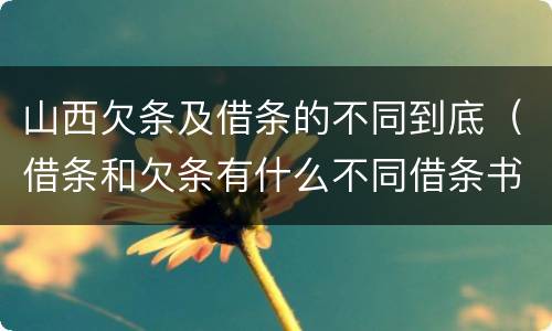 山西欠条及借条的不同到底（借条和欠条有什么不同借条书写）