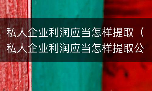 私人企业利润应当怎样提取（私人企业利润应当怎样提取公积金）