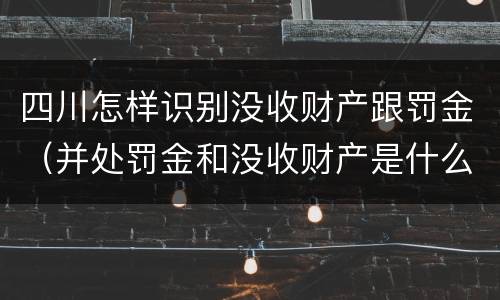 四川怎样识别没收财产跟罚金（并处罚金和没收财产是什么意思）