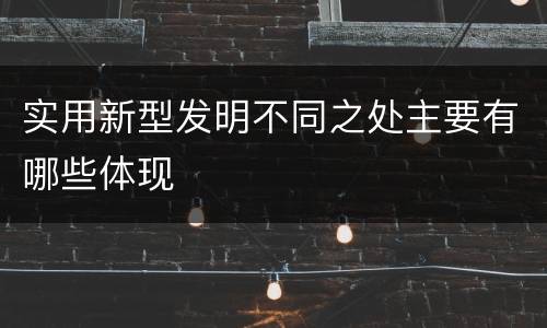 实用新型发明不同之处主要有哪些体现
