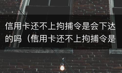信用卡还不上拘捕令是会下达的吗（信用卡还不上拘捕令是会下达的吗知乎）